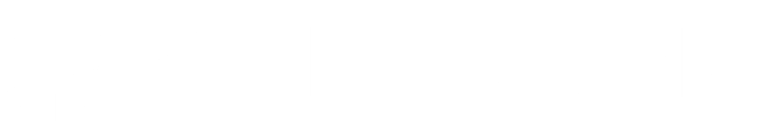 cyberark-logo-blanco