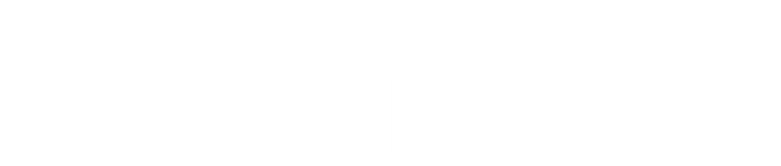sailpoint-logo-blanco